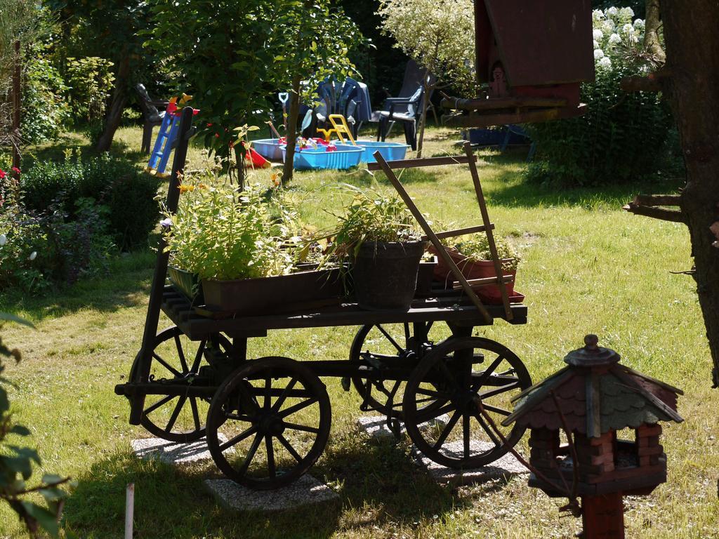 Familien-Ferienwohnung Haustein Konigswalde Exterior photo